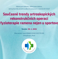 Současné trendy artroskopických rekonstrukčních operací a fyzioterapie ramena nejen u sportovců