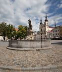 Kurz Indikace léčby nejčastějších zlomenin - kazuistiky