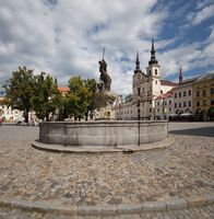 Kurz Indikace léčby nejčastějších zlomenin - kazuistiky
