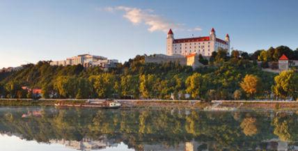 VIII. medzinárodný kongres Slovenskej spoločnosti artroskopie a športovej traumatológie
