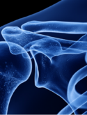 Odborné sympózium „Shoulder in Focus“