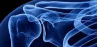 Odborné sympózium „Shoulder in Focus“