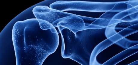 Odborné sympózium „Shoulder in Focus“